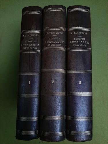 Synopsis theologiae theologiæ - synopsis,
